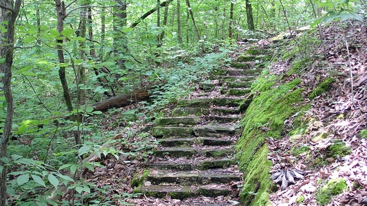 Nature Trail Steps