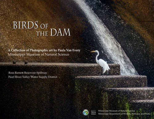 birds-of-the-dam-upstairs-final