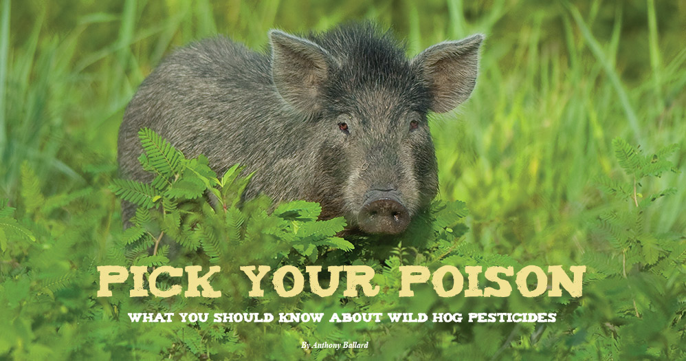 MDWFP - Pick Your Poison: What You Should Know About Wild Hog Pesticides