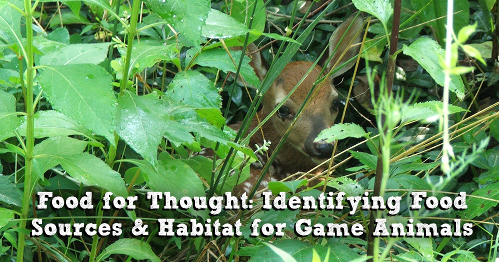 MDWFP - Food for Thought: Identifying Food Sources and Habitat for Game  Animals