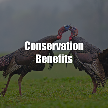 Conservation benefits
