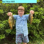 Will Burris Green sunfish a.jpg