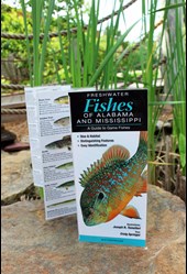 Fish leaflet