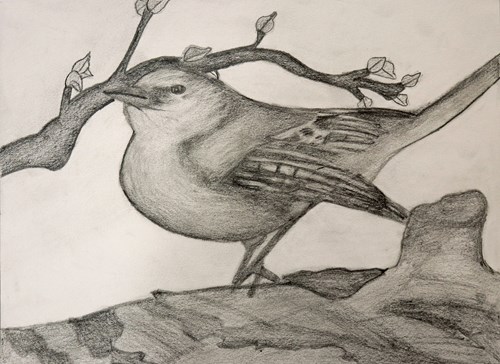 Bird on a Limb