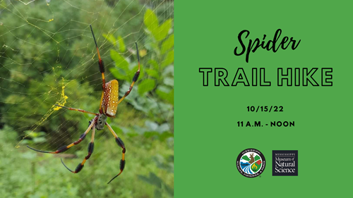 spider trail hike october 15 2022 at mississippi museum of natural science