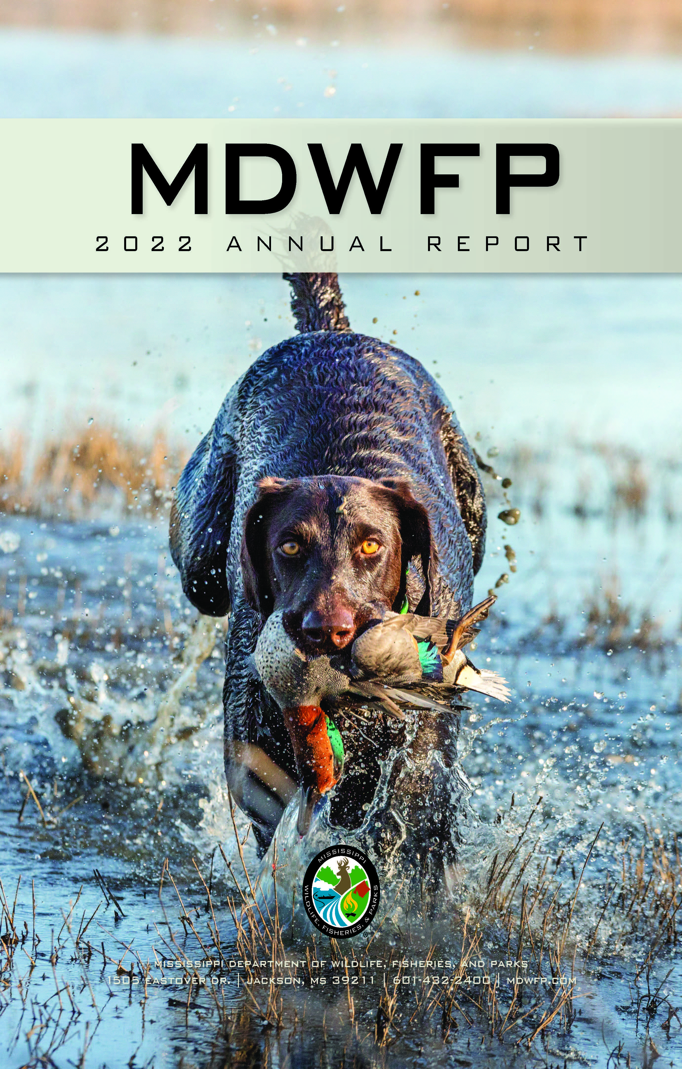 FY 2022 annual report cover