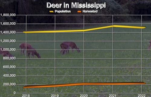 Deer Population and Harvest Graph