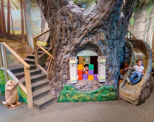mississippi museum of natural science preschool discover room treehouse slide