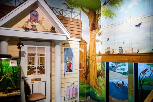 preschool discovery room murals at the mississippi museum of natural science