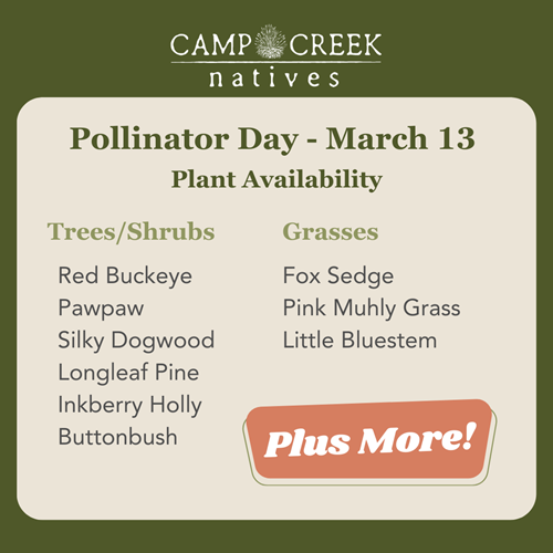 camp creek native plants plant sale list trees and grasses