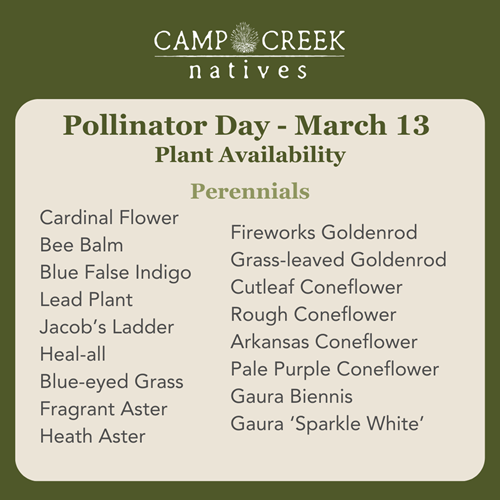 camp creek native plants plant sale list