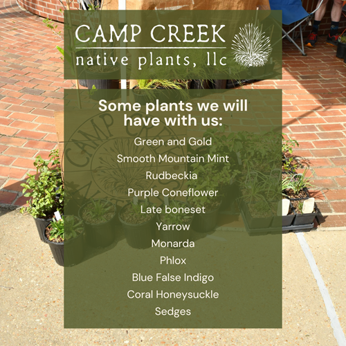 camp creek native plants for sale at naturefest at the mississippi museum of natural science