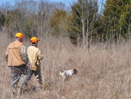 Two men hunting Quail with Hunting a dog