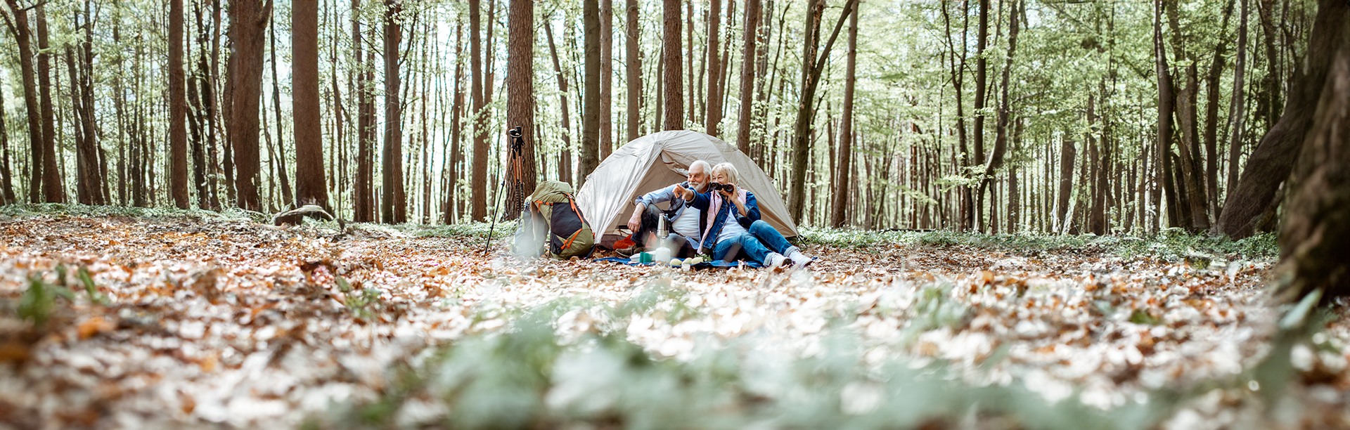 Primitive Camping | Mississippi Department of Wildlife, Fisheries, and Parks, image size:1920x612