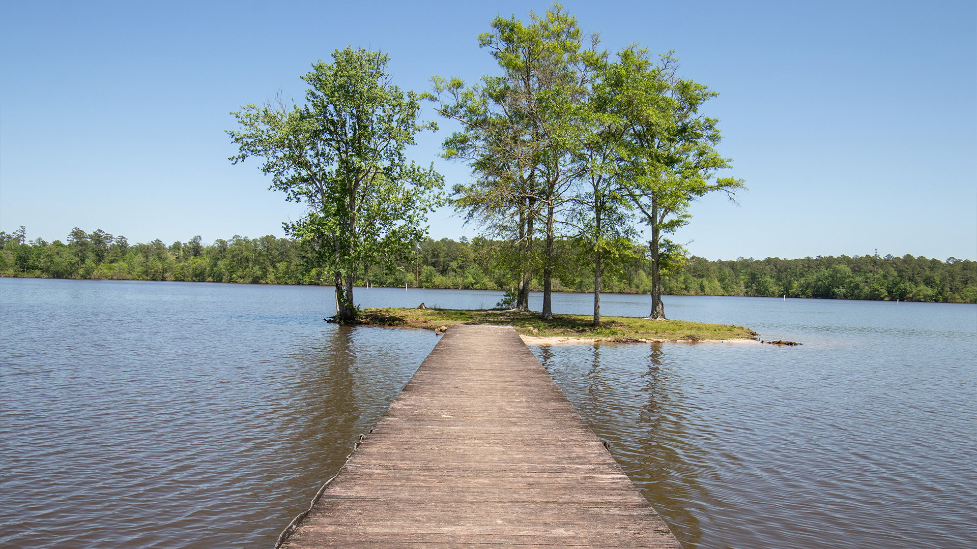 Paul B. Johnson State Park | Mississippi Department of Wildlife, Fisheries,  and Parks