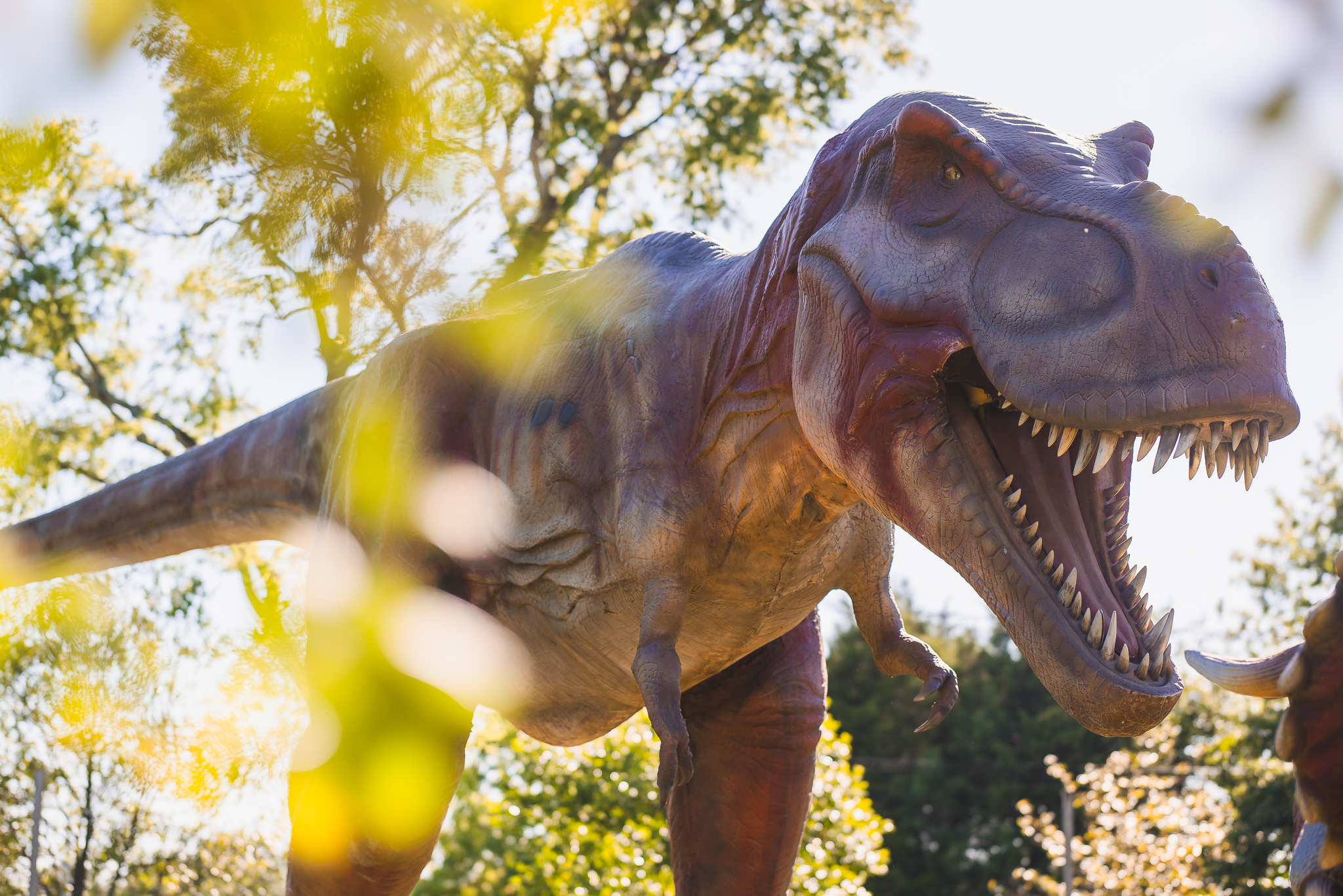 Dinosaurs around the world 2024