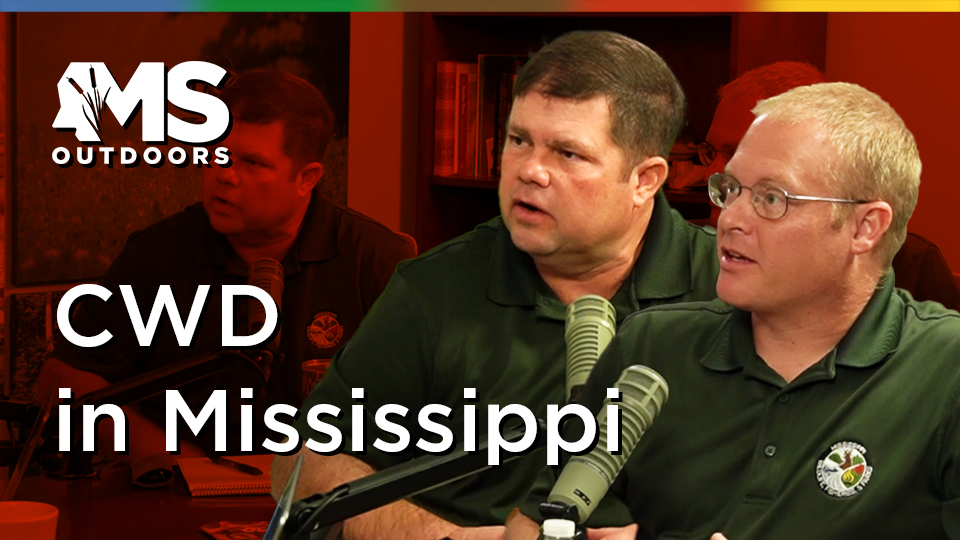 CWD podcast