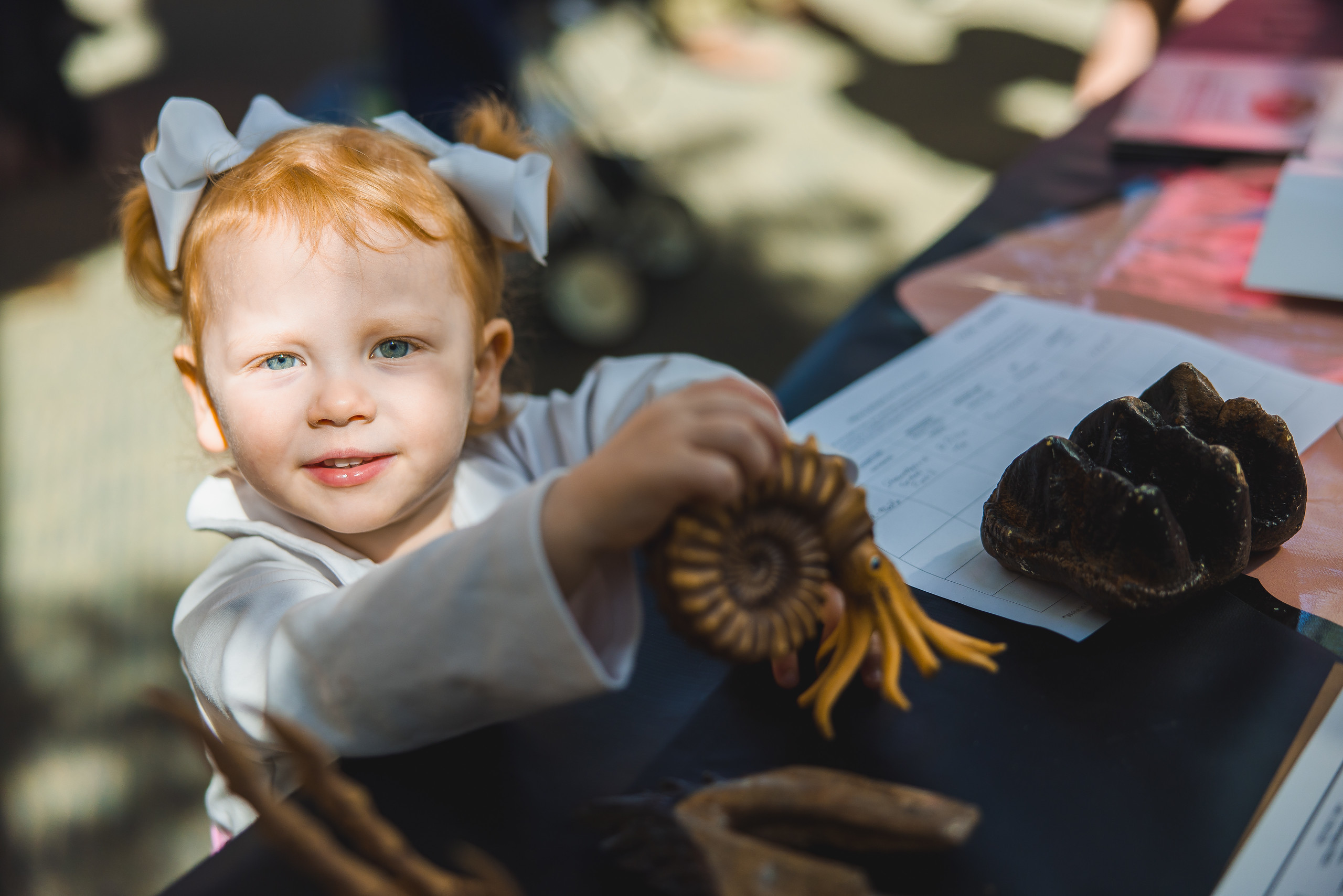 Fossil Road Show