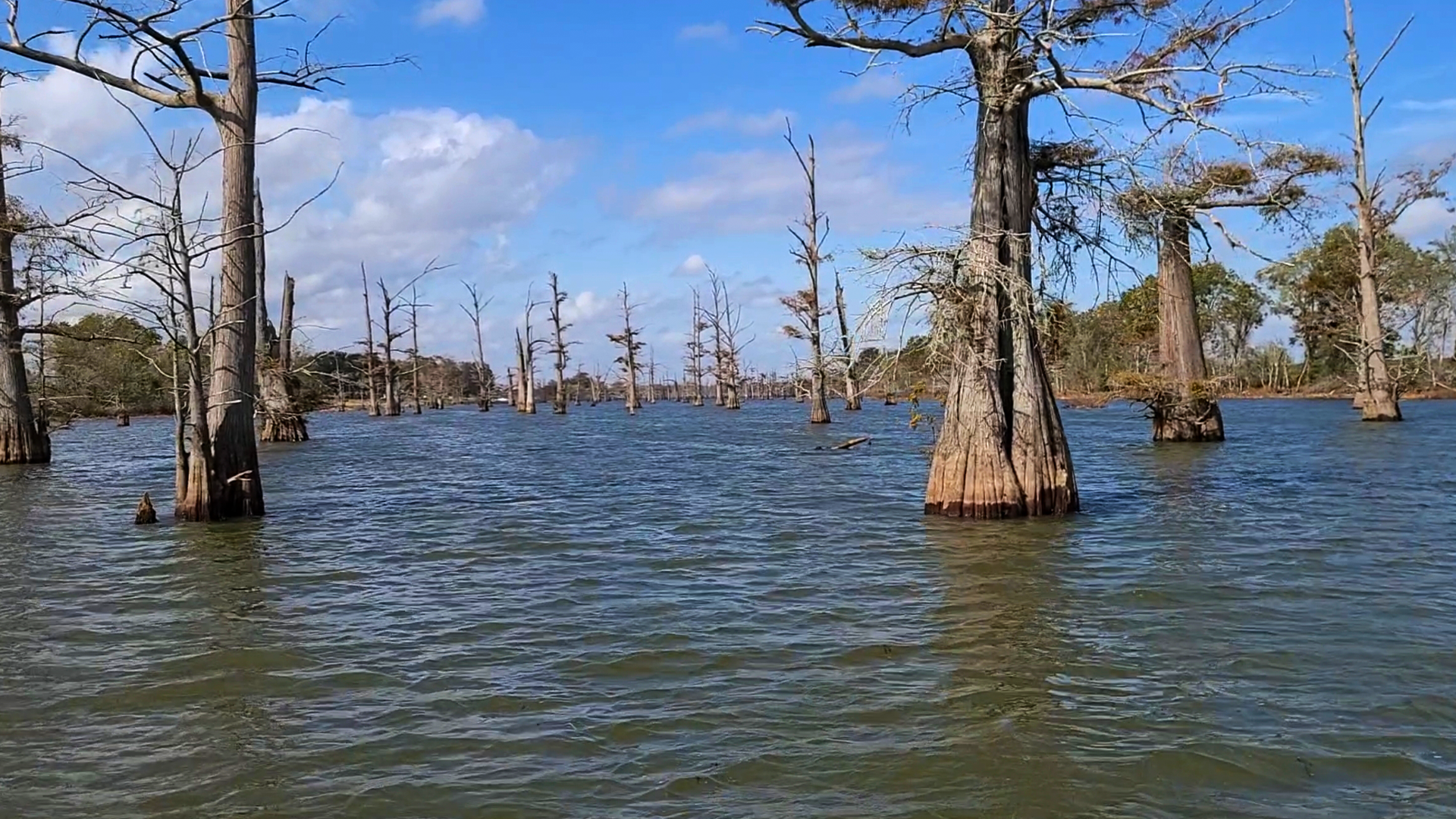 Horseshoe Lake