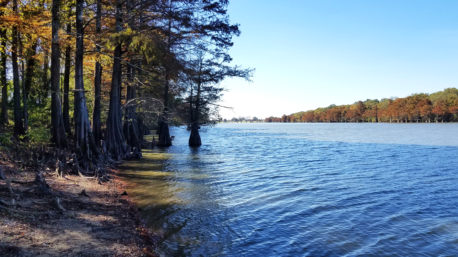 Wolf Lake Header