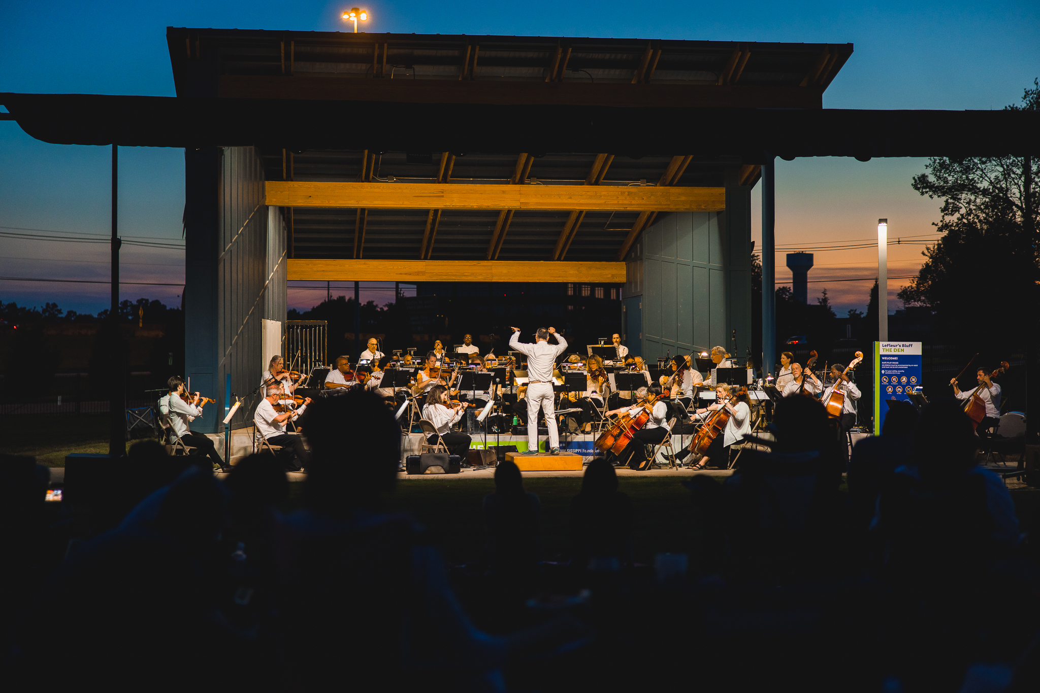 Moonlight, music, and meteors