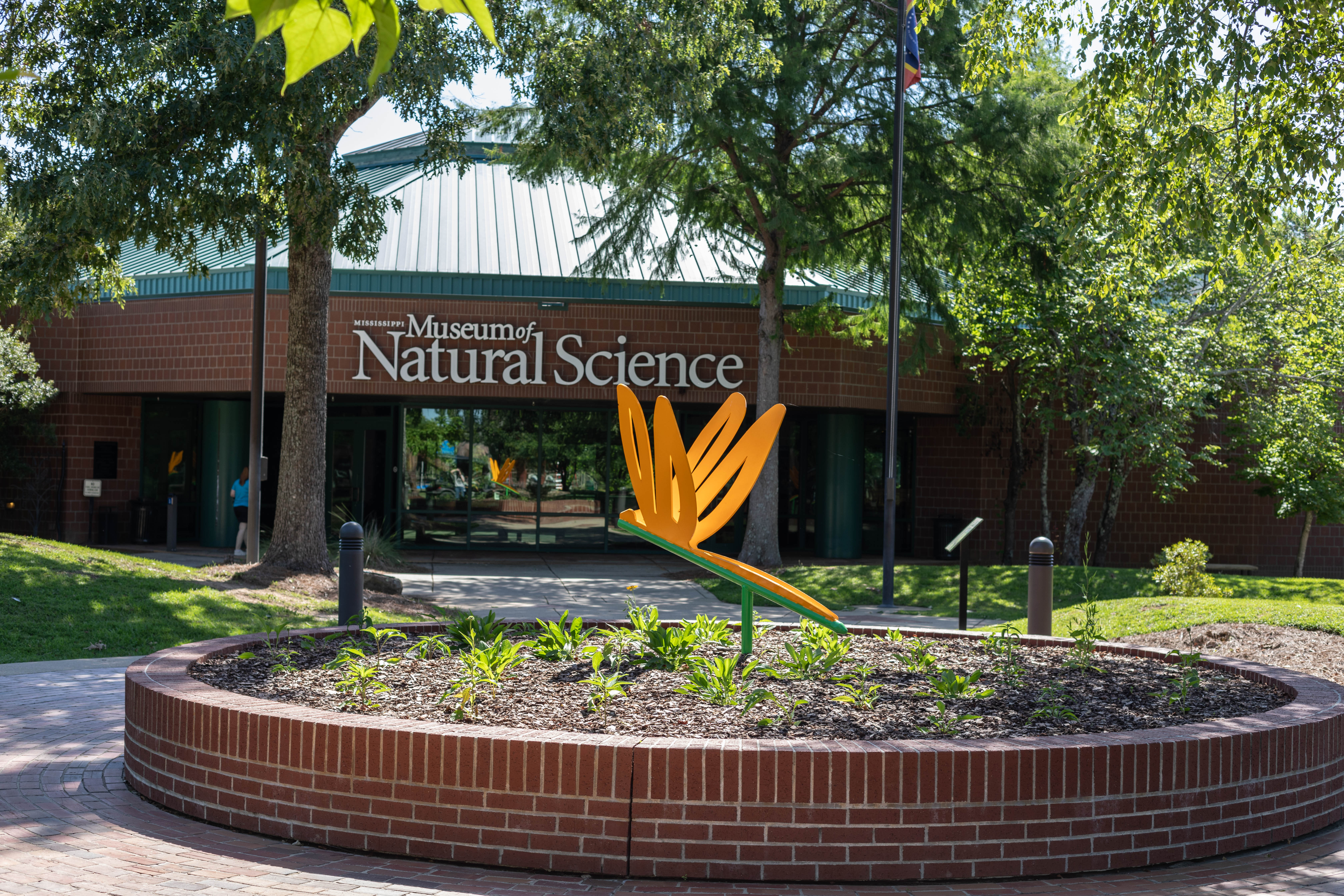 Outside of Museum of Natural Science