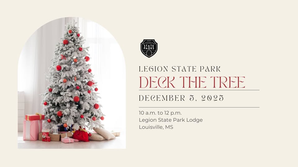 Legion State Park Deck the Tree