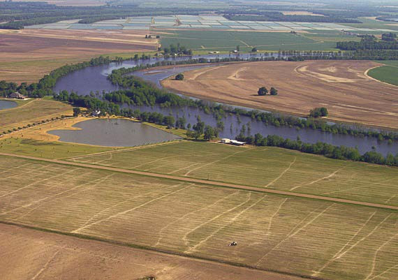 Wolf Lake