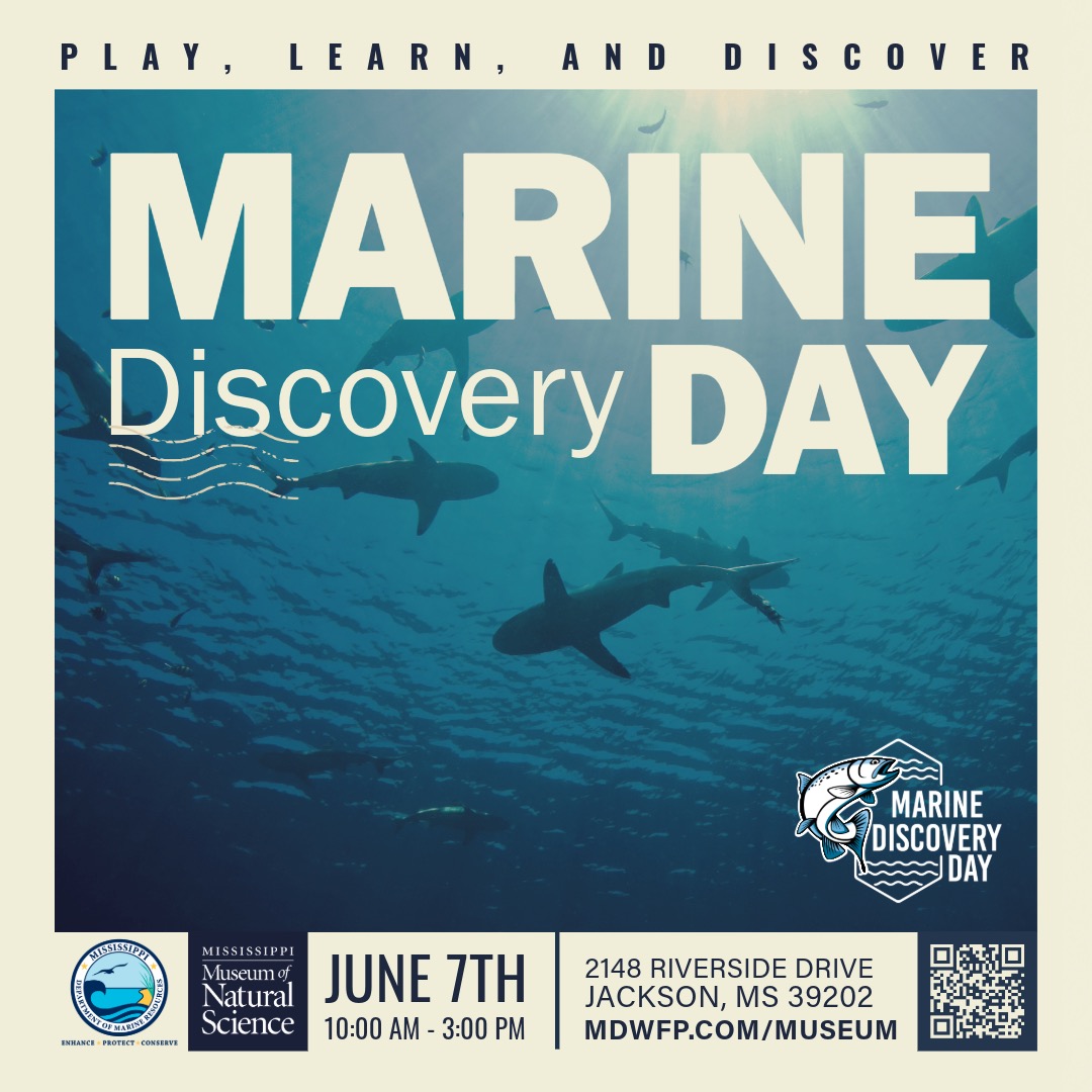 Marine Discovery Day Graphic 2