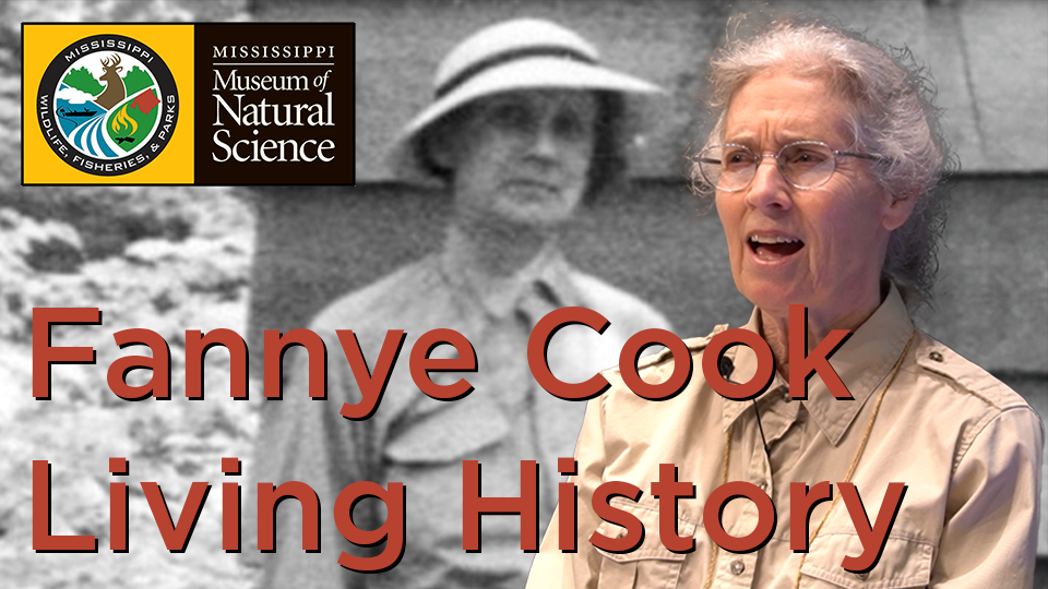Fannye Cook