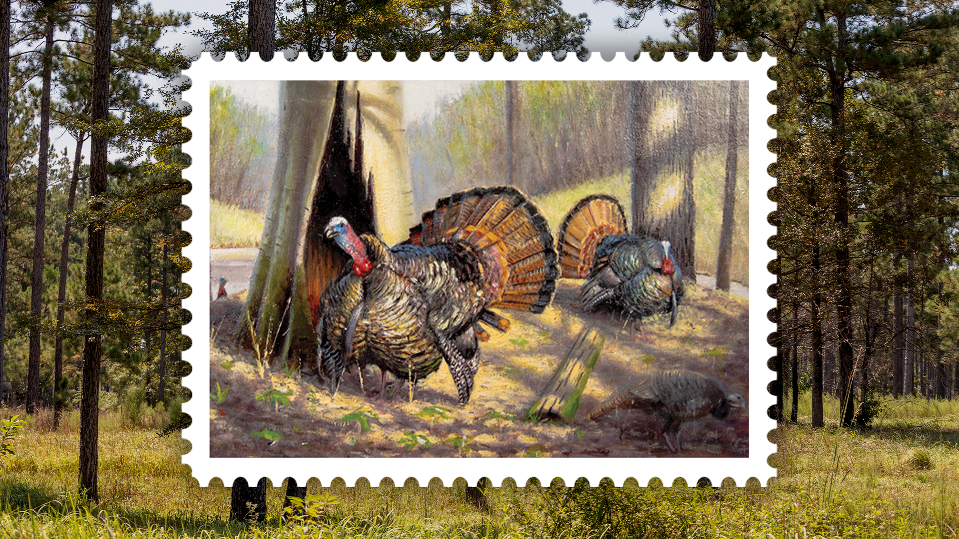stamp with background