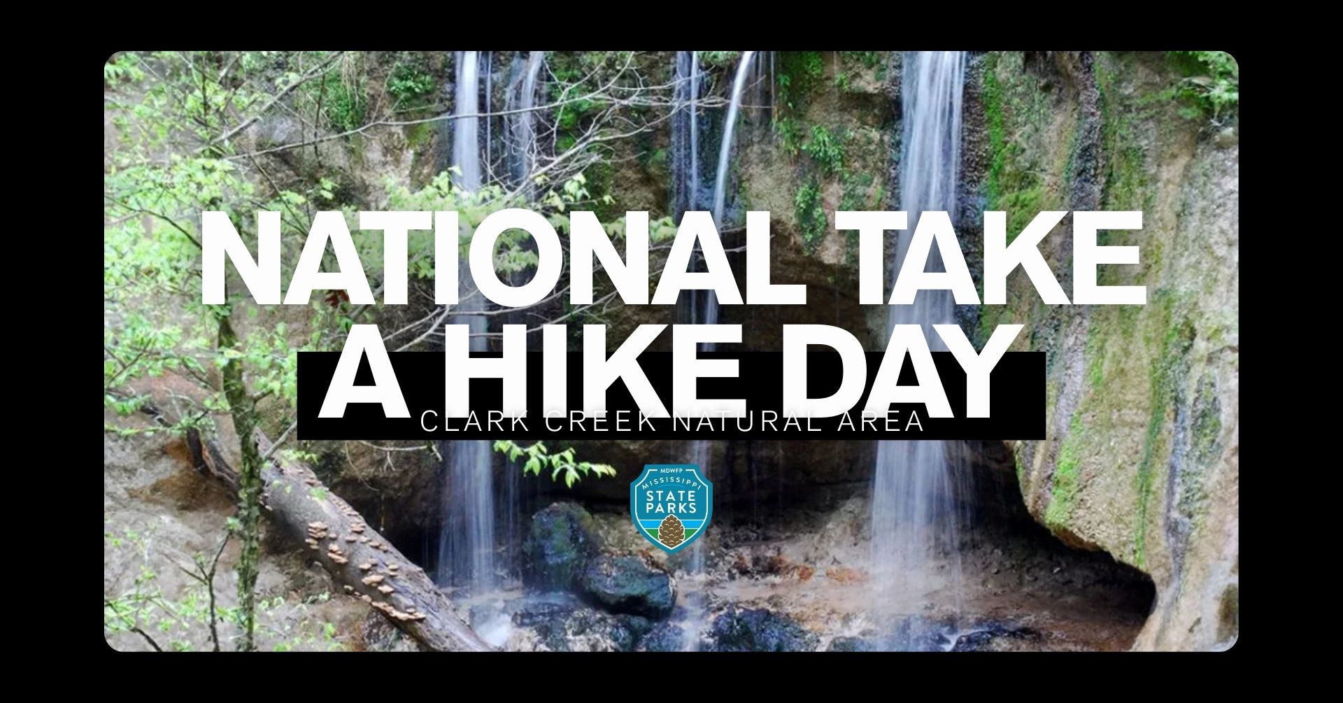 Clark Creek Take A Hike Day