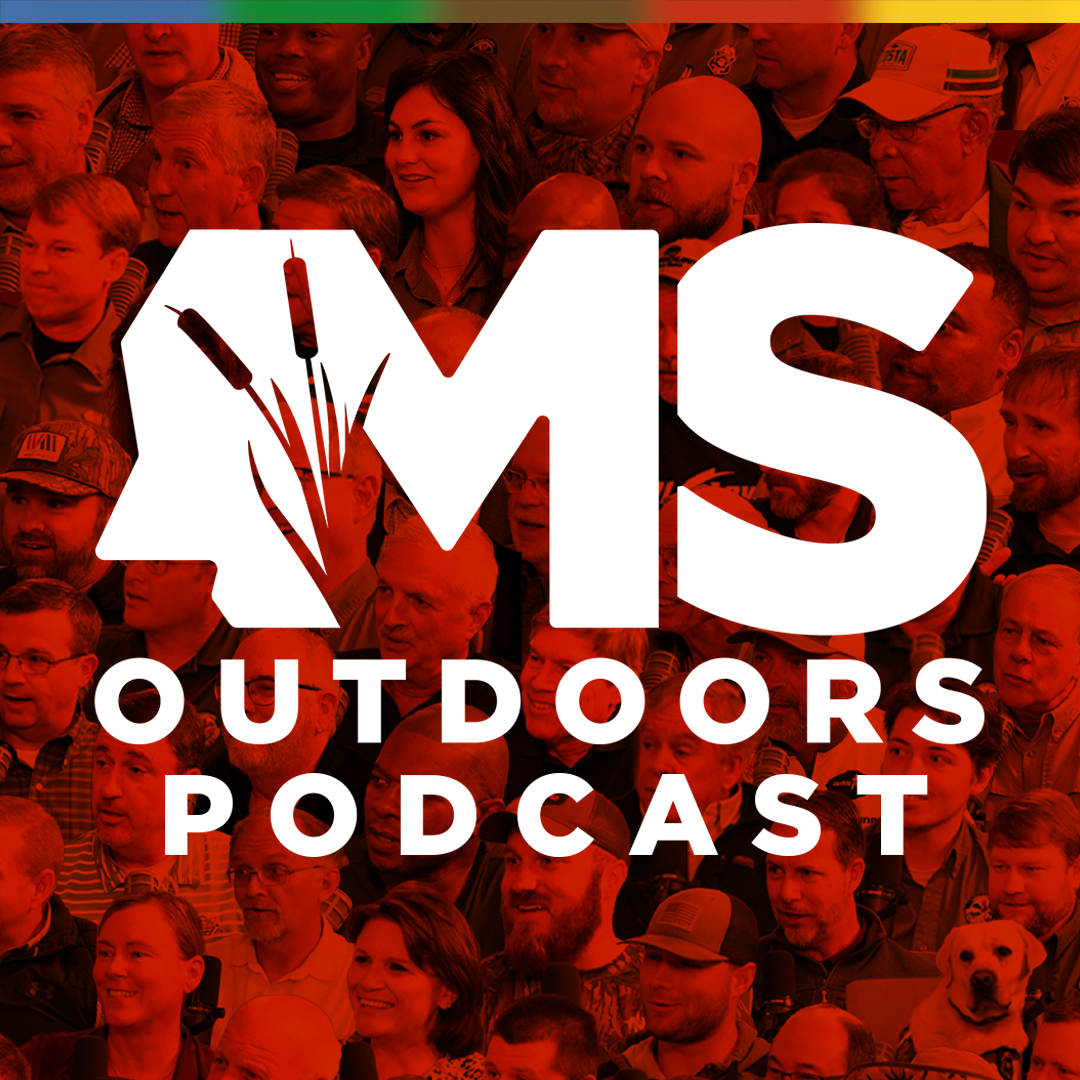 Podcast Ad