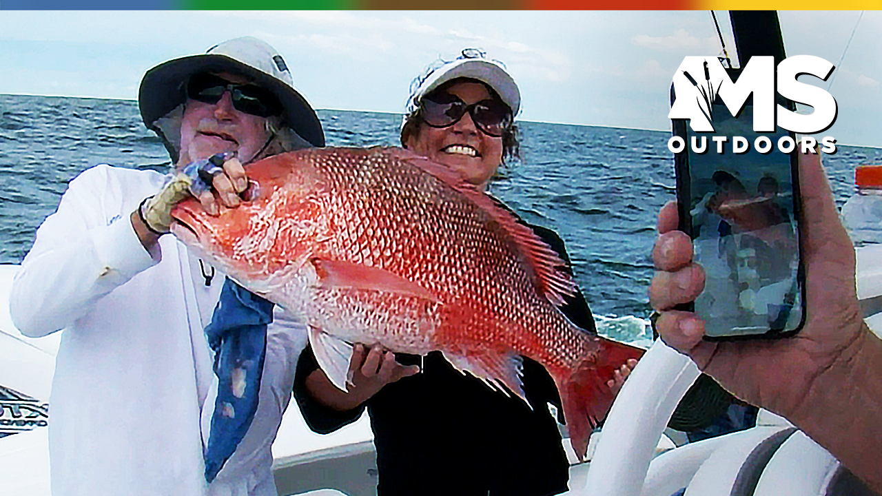 Red Snapper