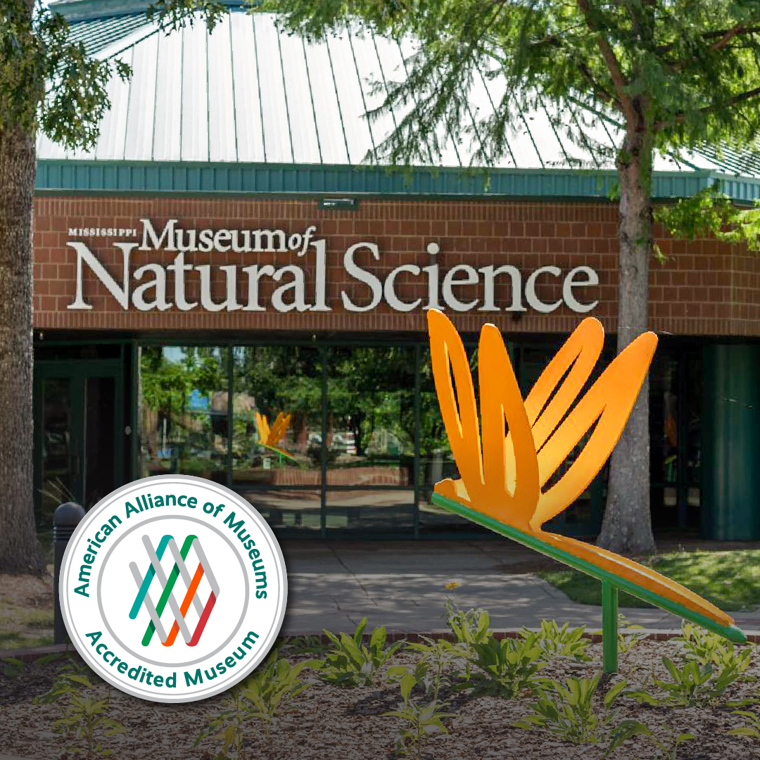 museum accreditation