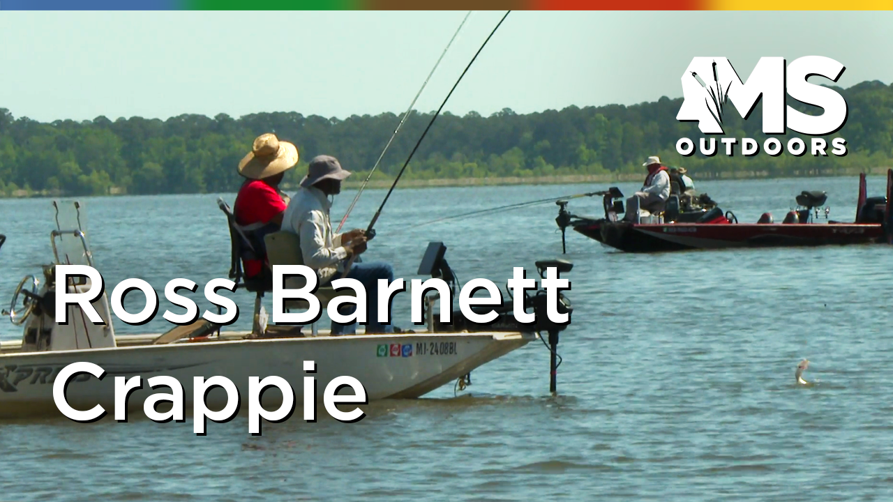 Ross Barnett Crappie