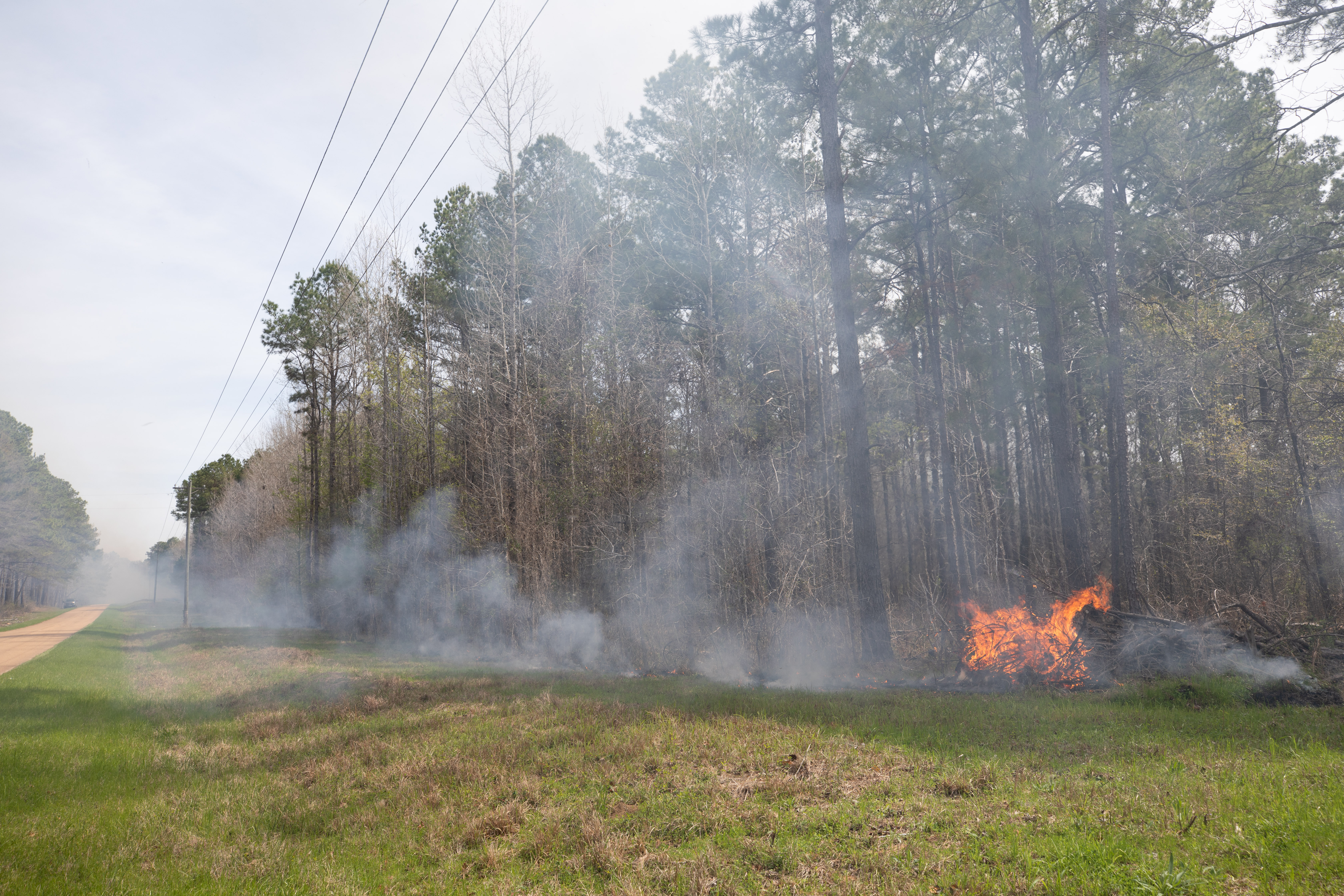 Prescribed Fire