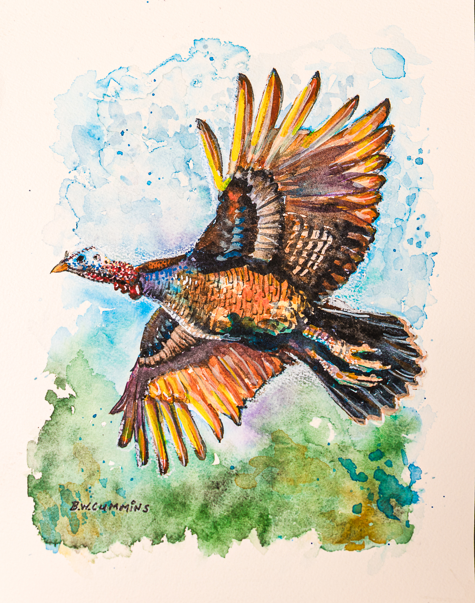Brett Cummins - Eastern Wild Turkey in Flight