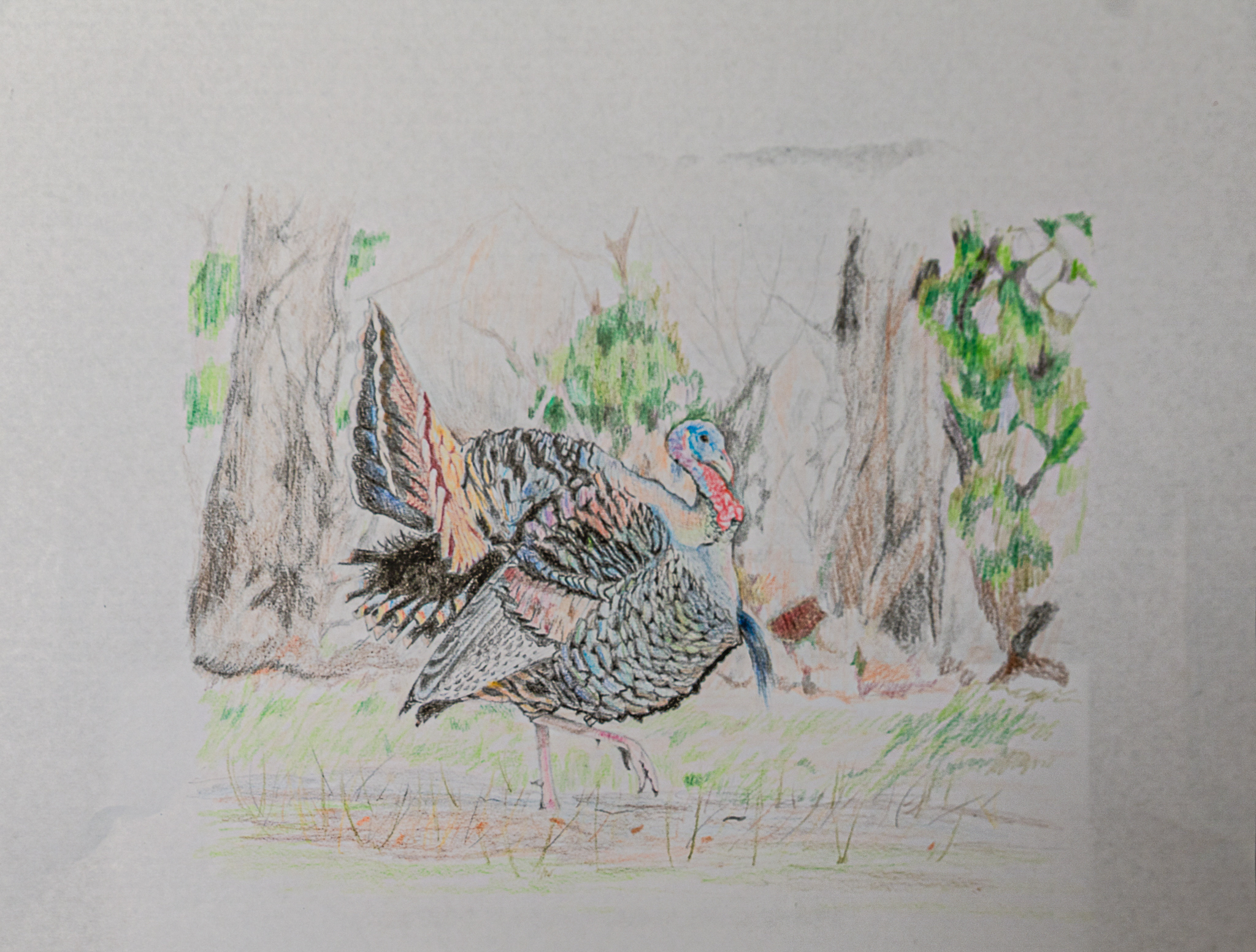 Ella Marsden - Colorful Morning - Colored Pencils