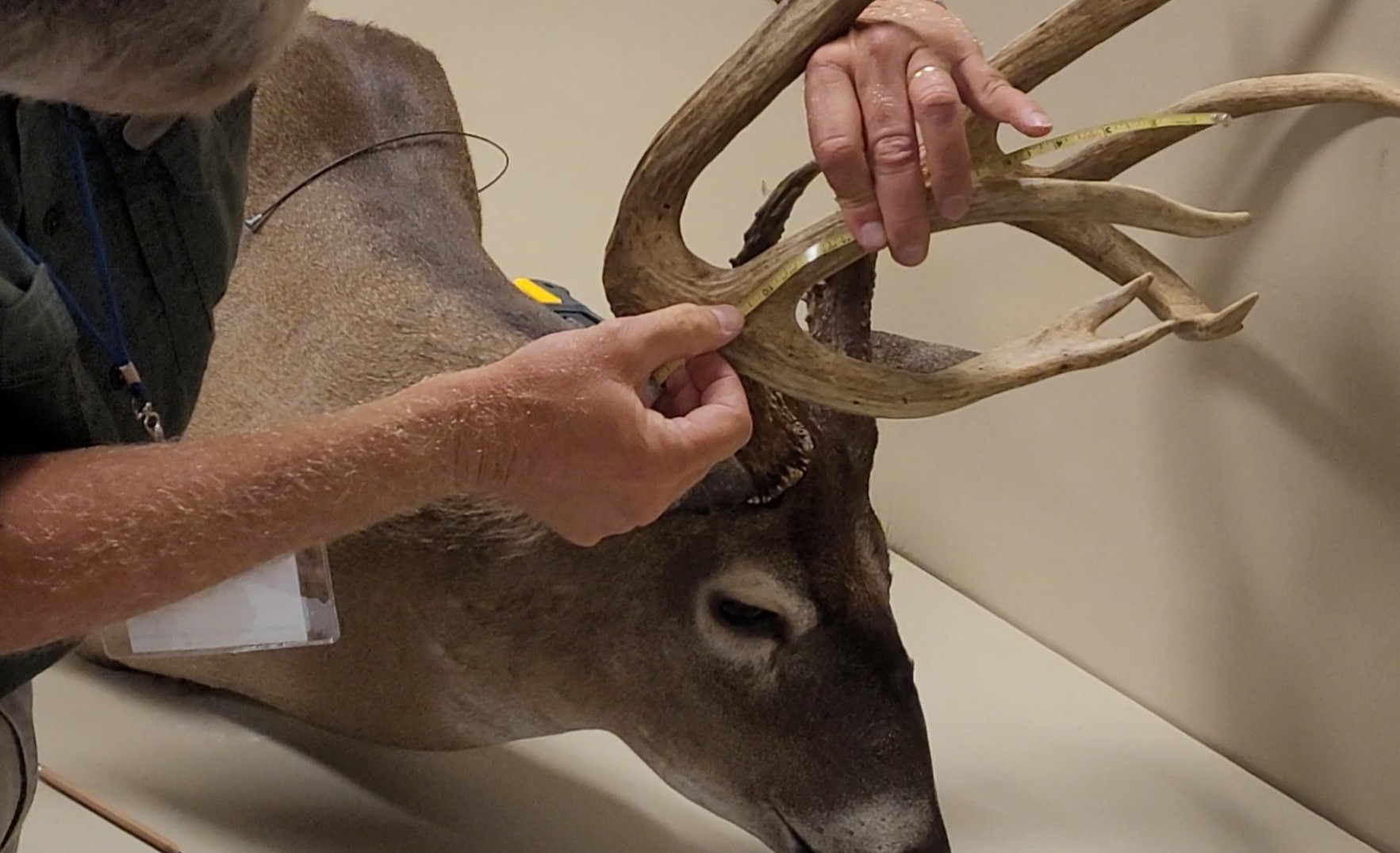 State Hunting Records Mississippi Department of Wildlife, Fisheries