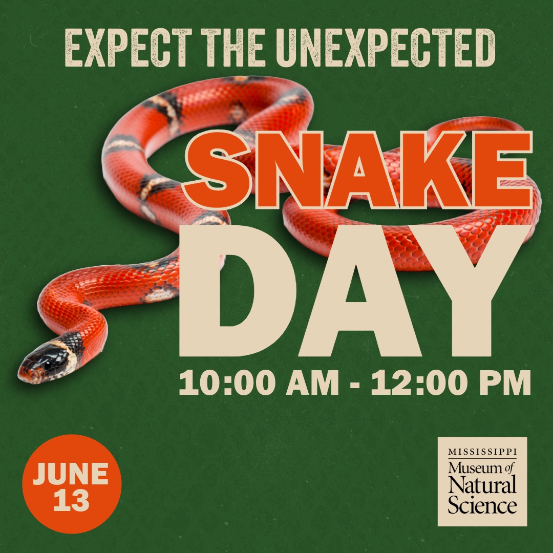 snake day 2025 graphic
