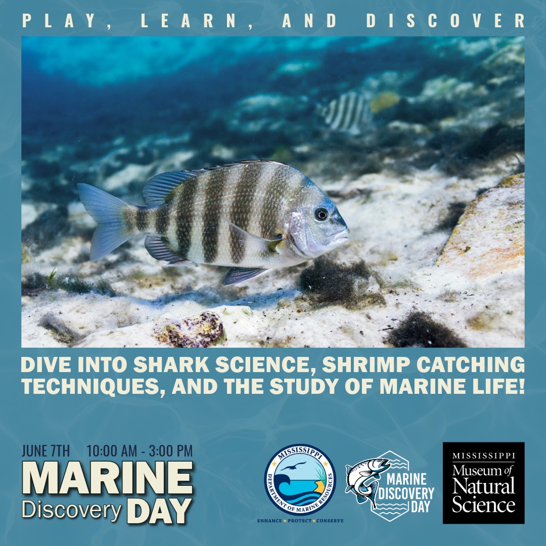 Marine Discovery Day 2025 graphic