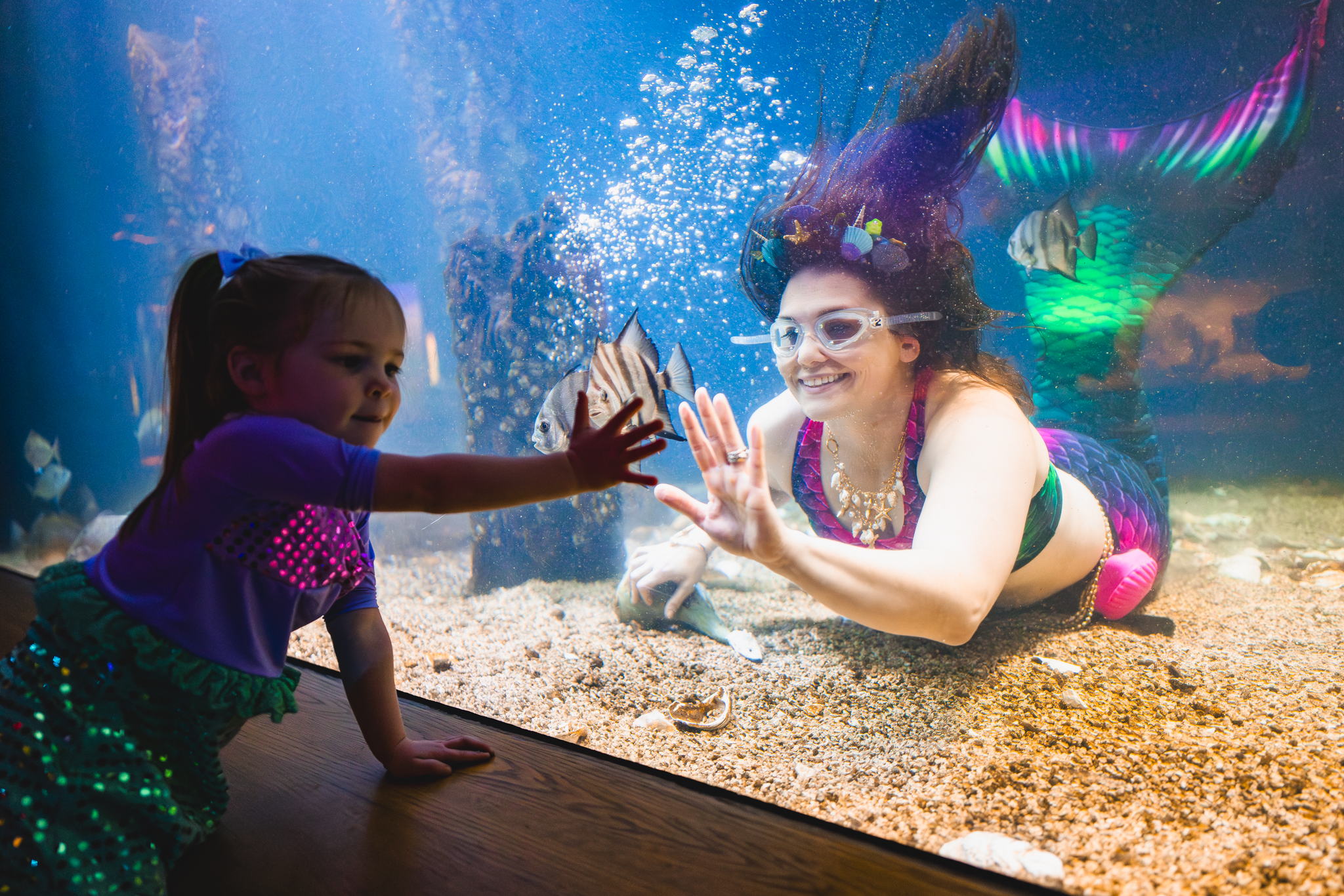 mermaid dive birthday party at the Mississippi Museum of natural science