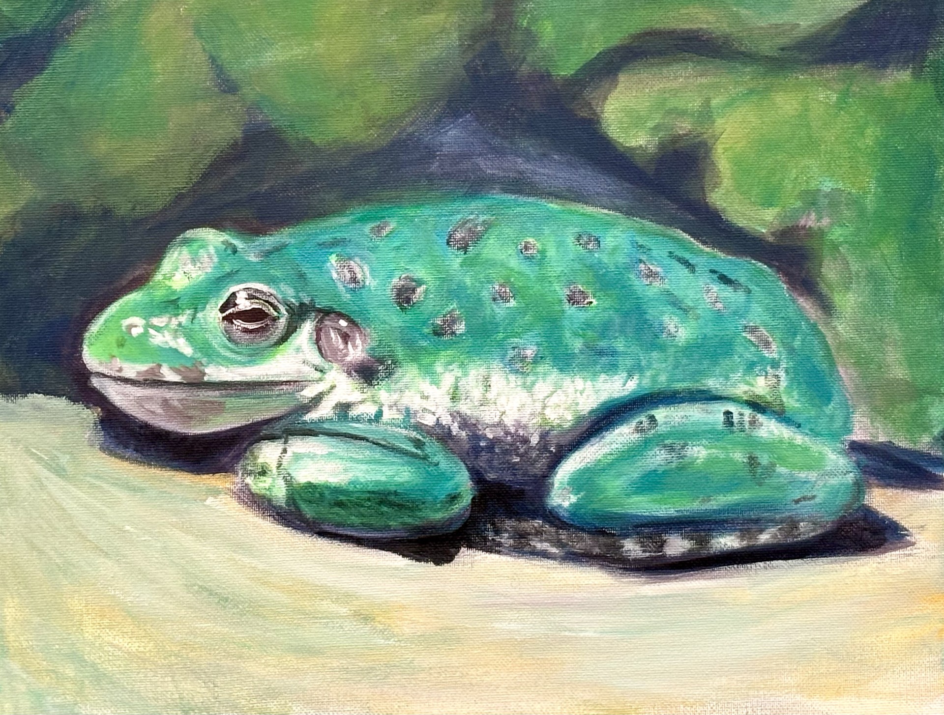 Barking Tree Frog painting 