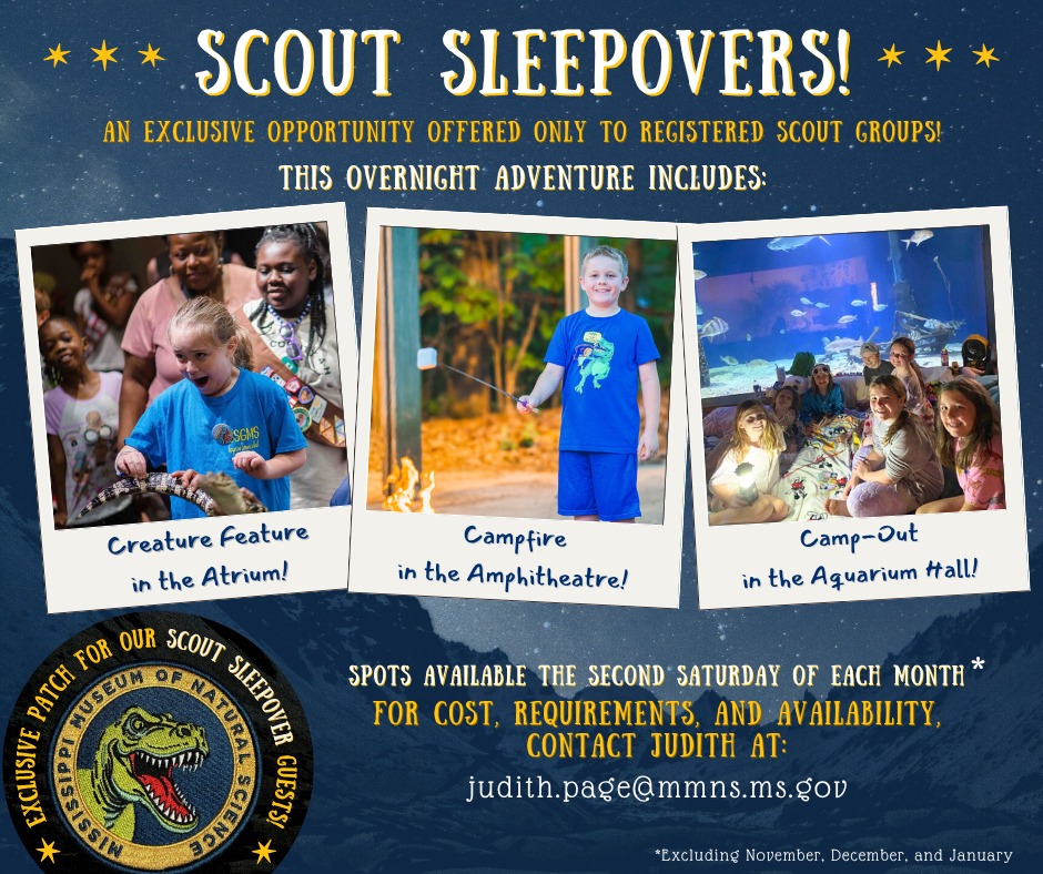 scout sleepovers at the mississippi museum of natural science