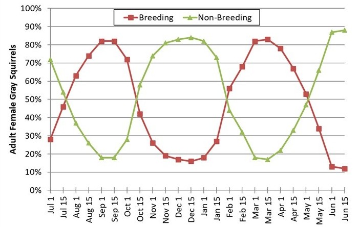 Biweekly Gray Squirrel Breeding Status - Mississippi Data