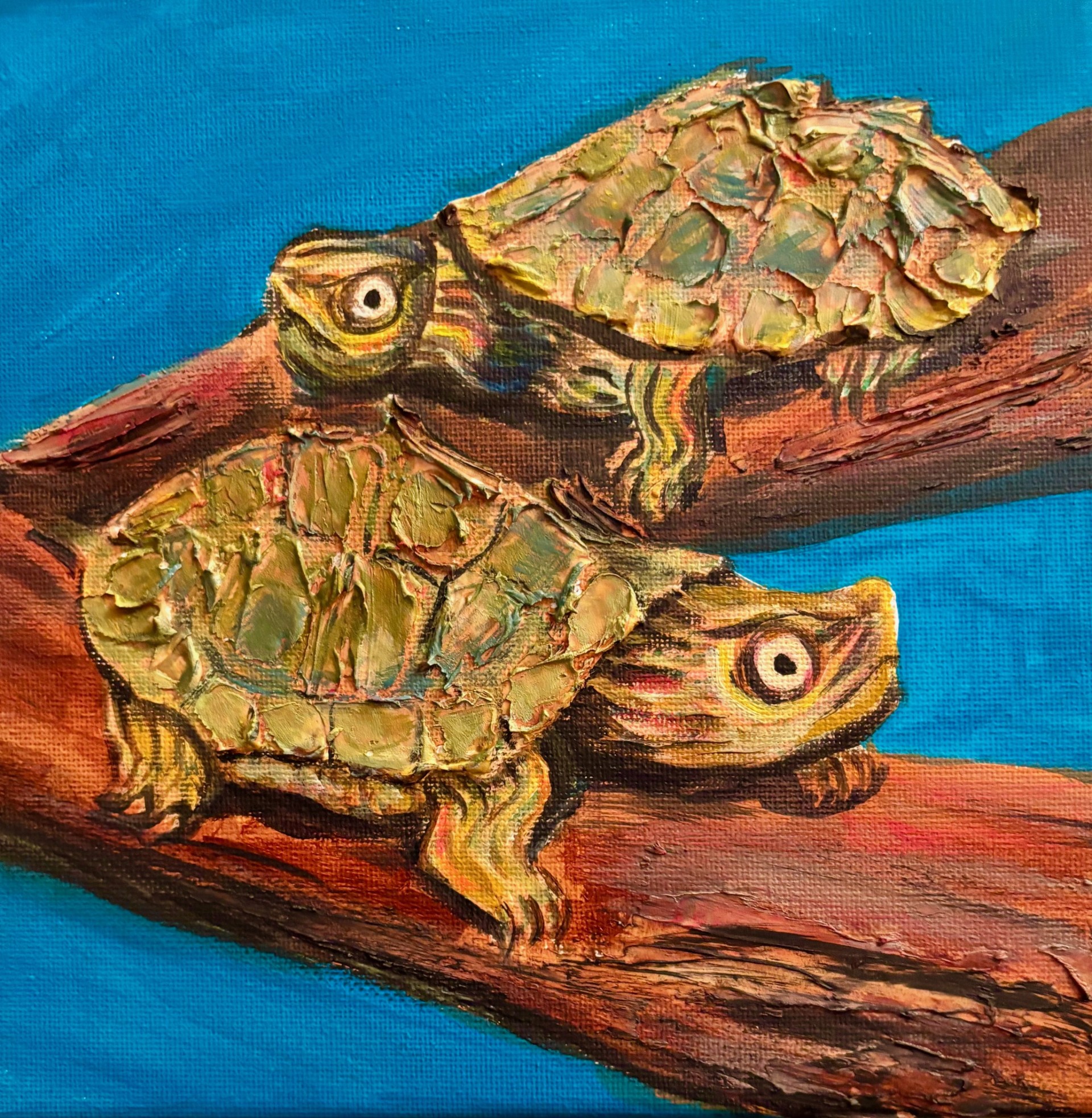 Wild Wonders Painting Class Turtle