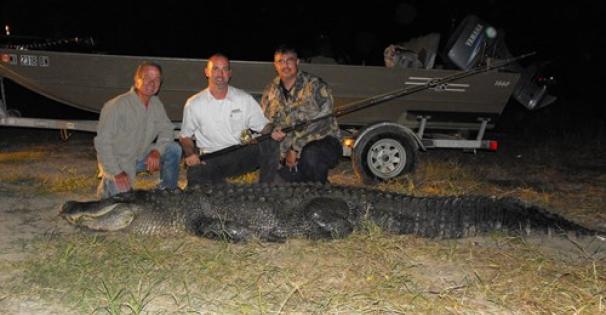 Hunting Alligators