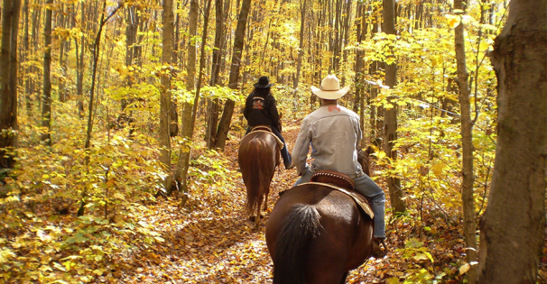 Horsback Riding