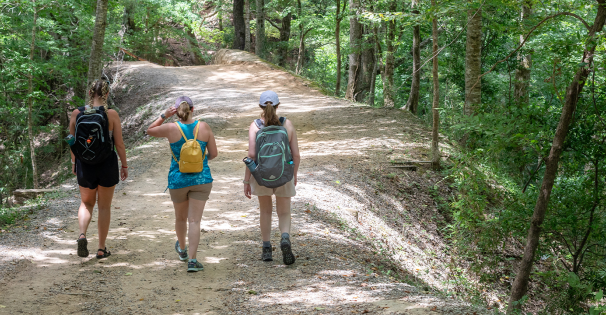 Hiking Trail News Header